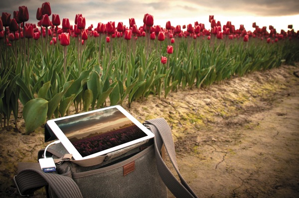 ipad_field_tulip_field.jpg