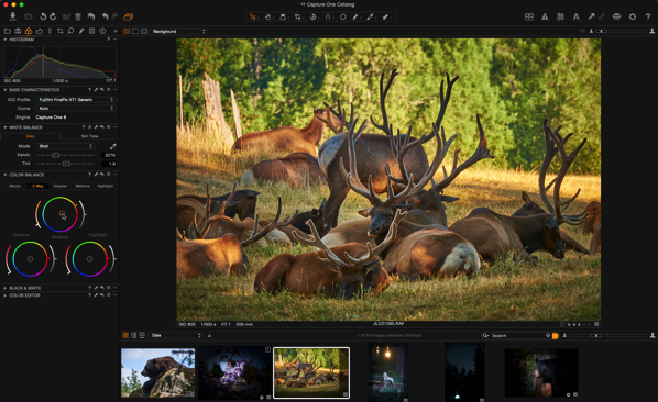 captureone_raw_adjust_after.png Captureone raw adjust after