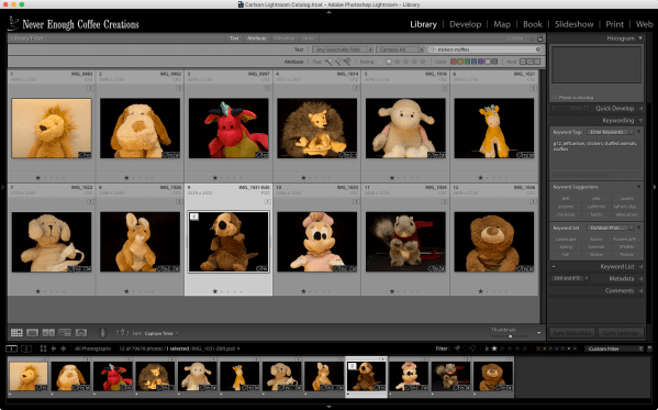 Stuffies lightroom grid