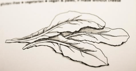 soupzine.png Soupzine