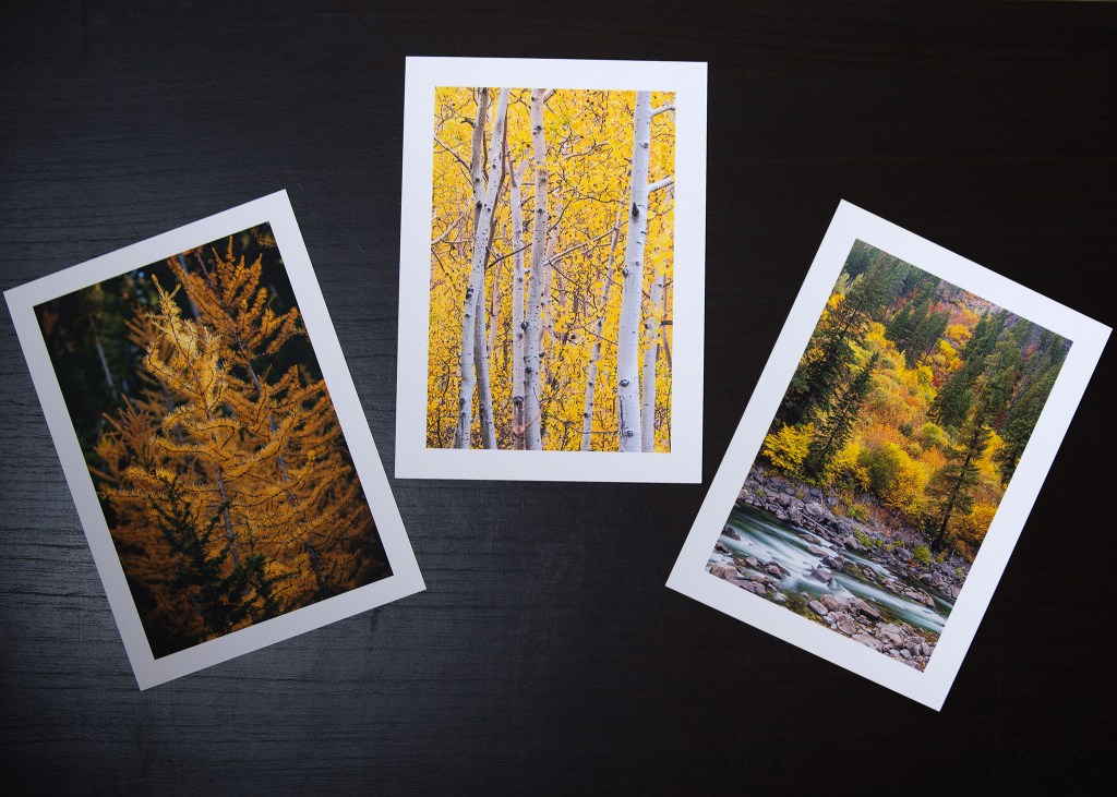 Top-down view of three photo prints showing autumn trees and colorful leaves.